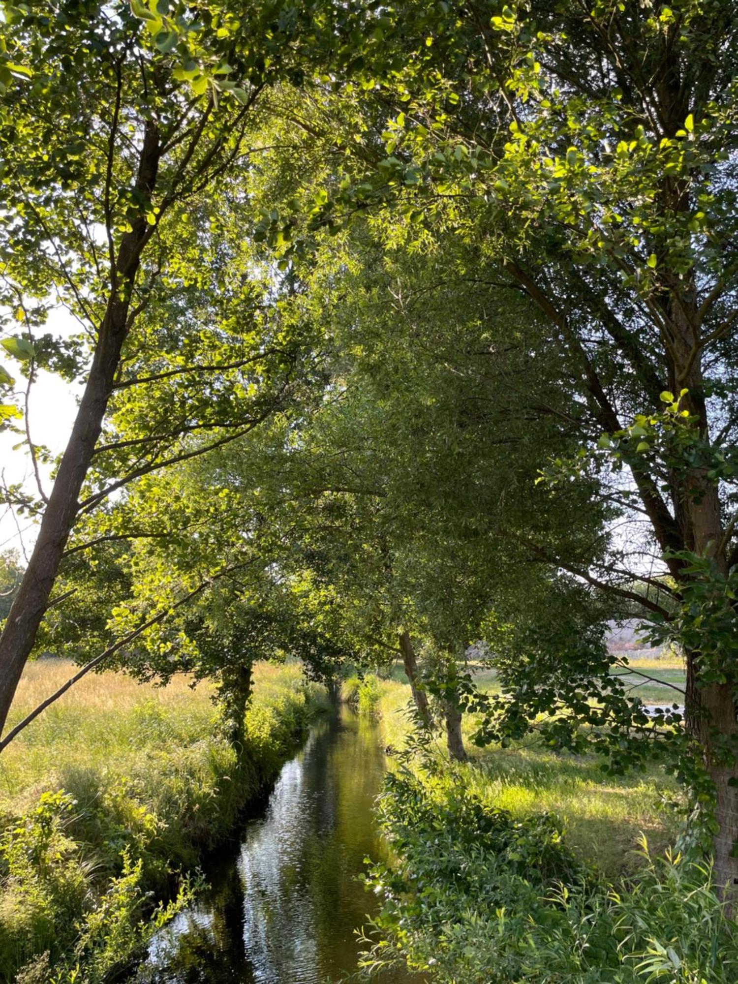 Guesthouse With 3 Apartments, Just Outside Berlin, Near To Tesla Burig Extérieur photo