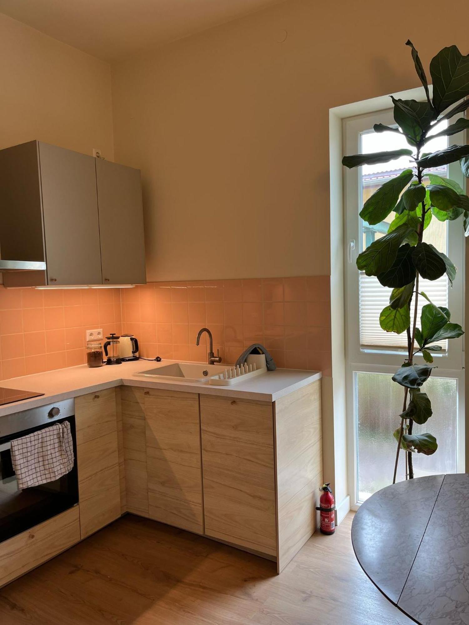 Guesthouse With 3 Apartments, Just Outside Berlin, Near To Tesla Burig Extérieur photo